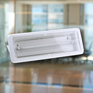 Recessed Emergency Lighting