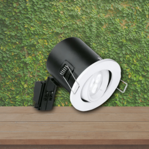 Aurora Downlights