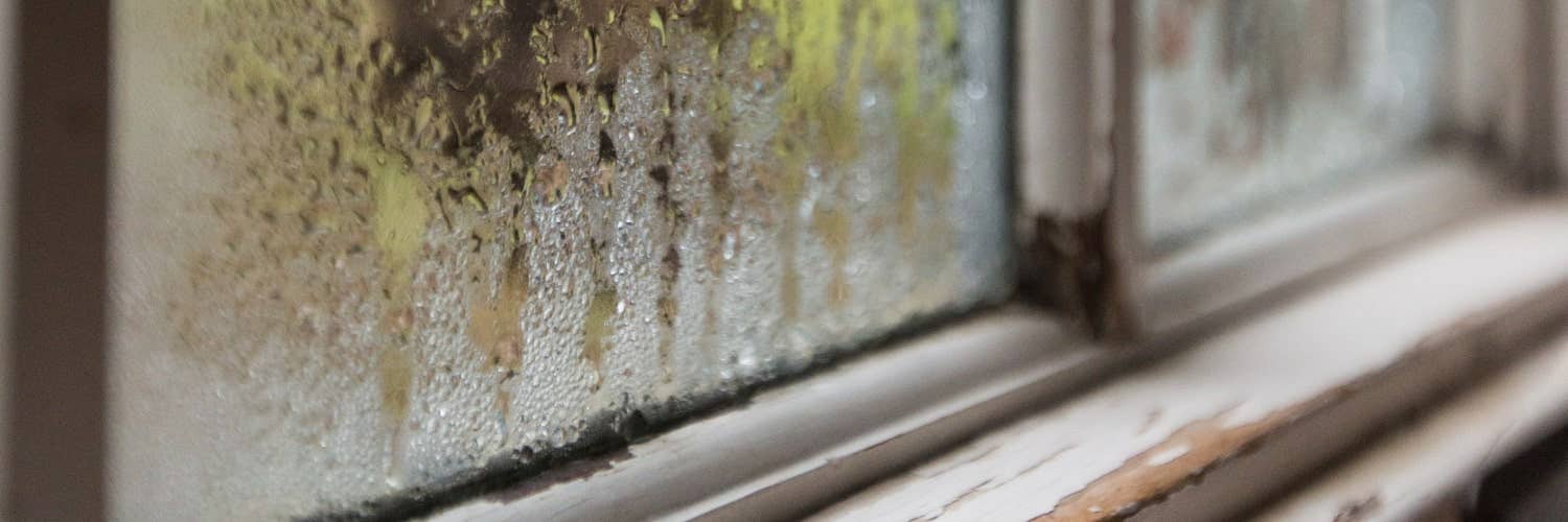 Condensation on a window with a wooden frame.