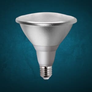 PAR LED Bulbs