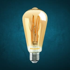 Vintage LED Bulbs